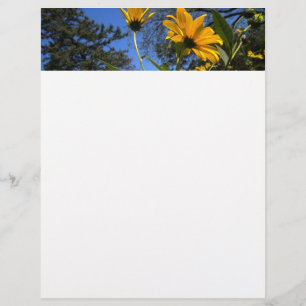 Sunflower N Sky Letterhead