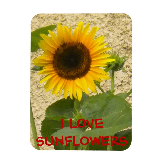 Sunflower N Stucco Fridge Magnet (Vertical)