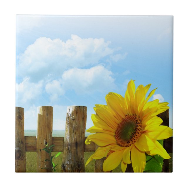 Sunflower Nature Beauty Tile (Front)