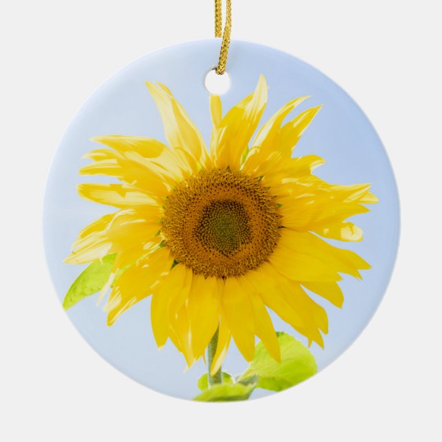 Sunflower Nature Photo Ceramic Tree Decoration (Front)