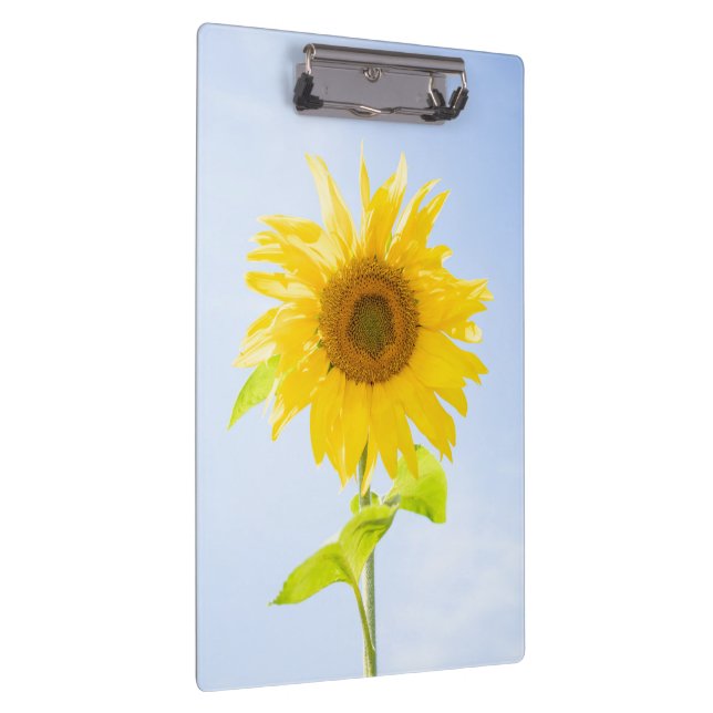 Sunflower Nature Photo Clipboard (Right)