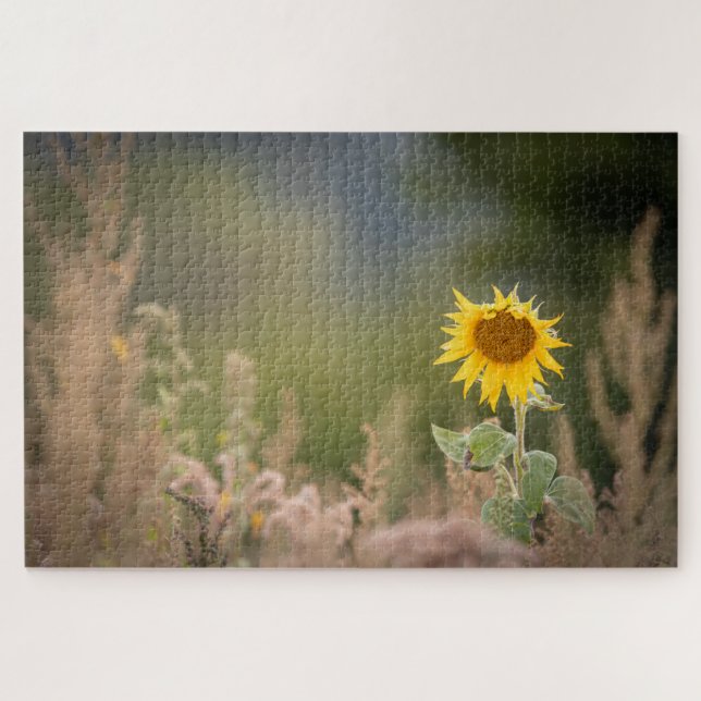 Sunflower Nature Photo Jigsaw Puzzle (Horizontal)