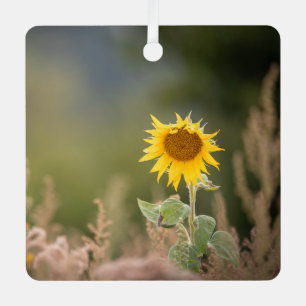 Sunflower Nature Photo Metal Tree Decoration