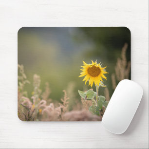 Sunflower Nature Photo Mouse Pad