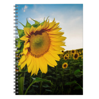 Sunflower Notebook