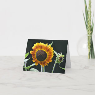 Sunflower Notecard