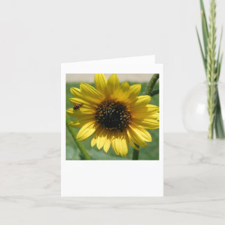 Sunflower notecard 2