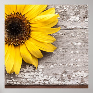 Sunflower on a Wooden Table Poster