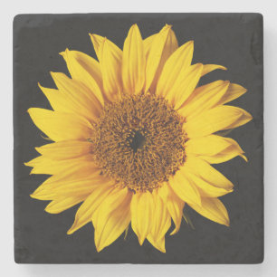 Sunflower on Black Sun Flower Floral Template Stone Coaster