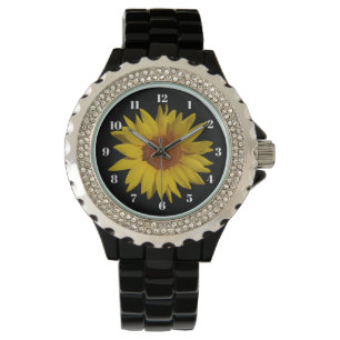 Sunflower on Black Watch