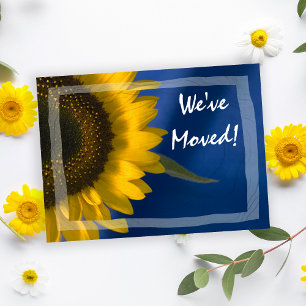 Sunflower on Blue Change of Address Announcement Postcard
