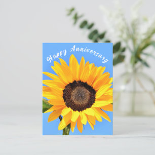 Sunflower on Blue Sky Anniversary Postcard