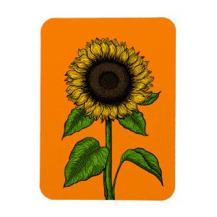 Sunflower on orange magnet