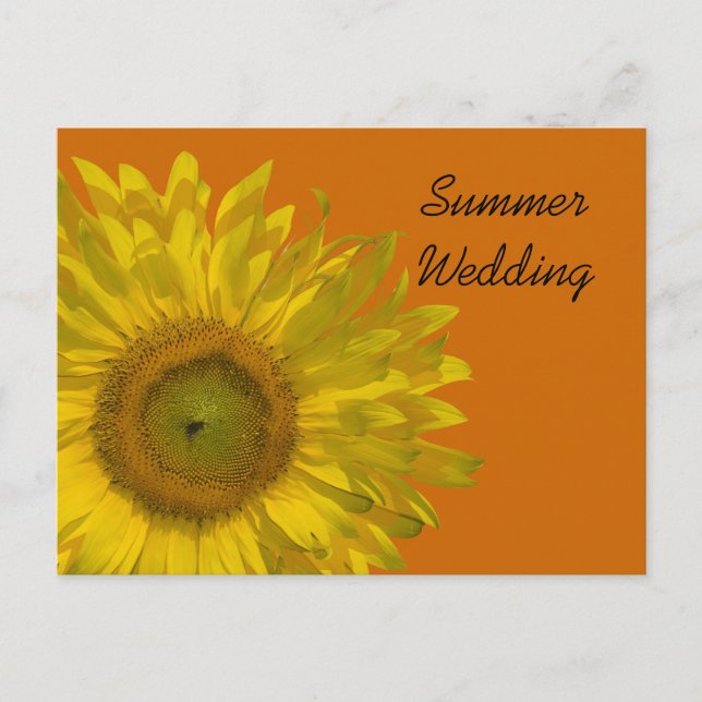 Sunflower on Orange Summer Wedding Announcement Postcard (Front)