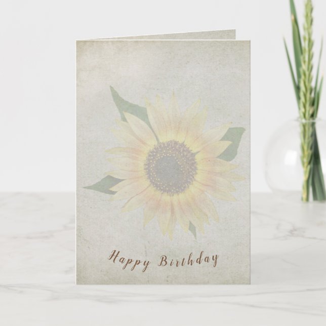 sunflower on soft textured background card (Front)