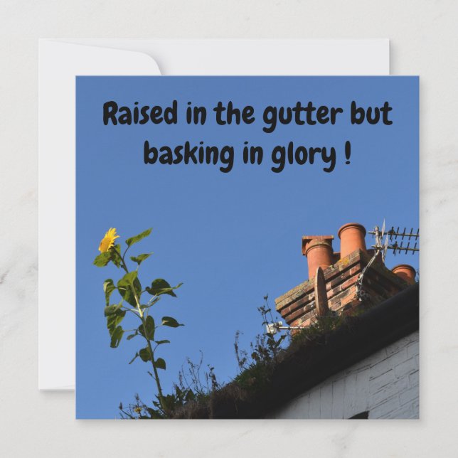 Sunflower on the roof. (Front)