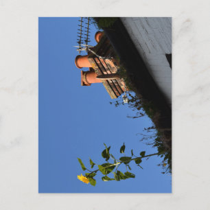 Sunflower on the roof. postcard