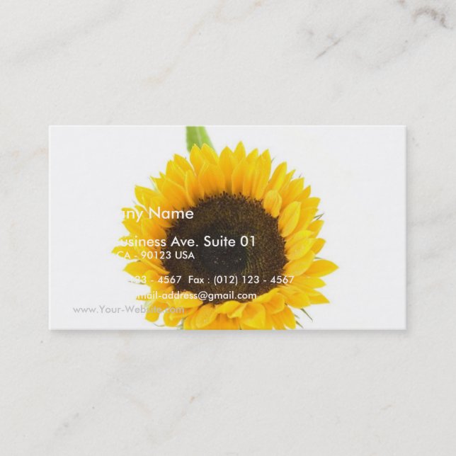 Sunflower On White Background Business Card (Front)