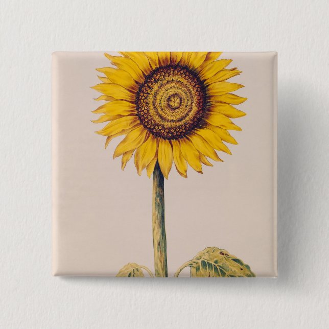 Sunflower or Helianthus 15 Cm Square Badge (Front)