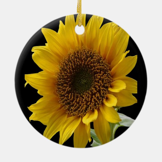 Sunflower ornament (Back)