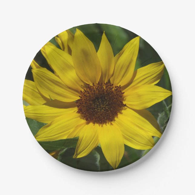 Sunflower Paper Plate (Front)