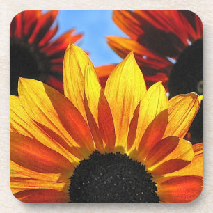 Sunflower Petals Coaster