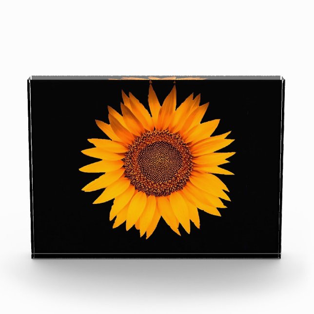 Sunflower Photo Block (Front)