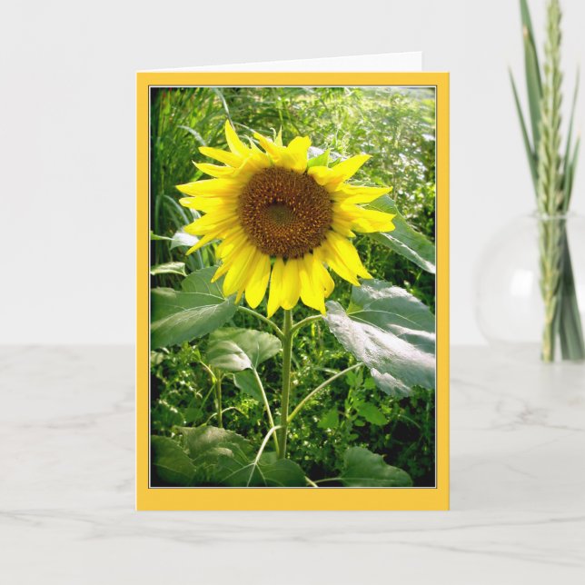 Sunflower photo greeting card (Front)