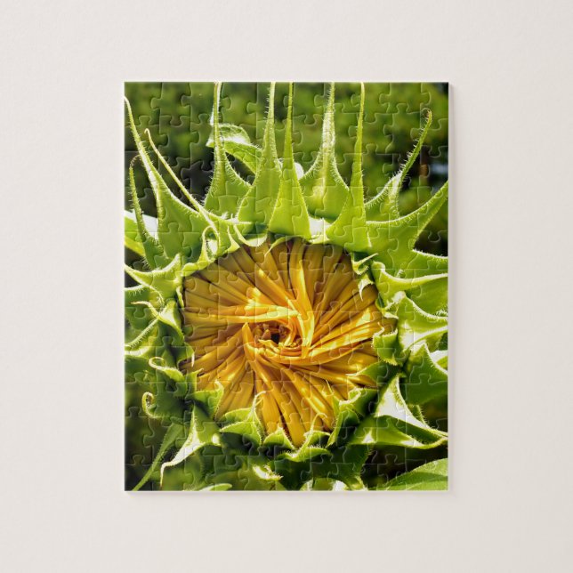 Sunflower photo jigsaw puzzle (Vertical)