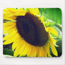 Sunflower Photo printed on a Mousepad