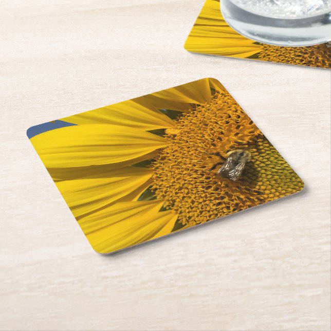 Sunflower Photo Summer Bee Botanical Square Paper Coaster (Angled)