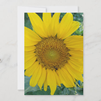 Sunflower Photo Thank You Card