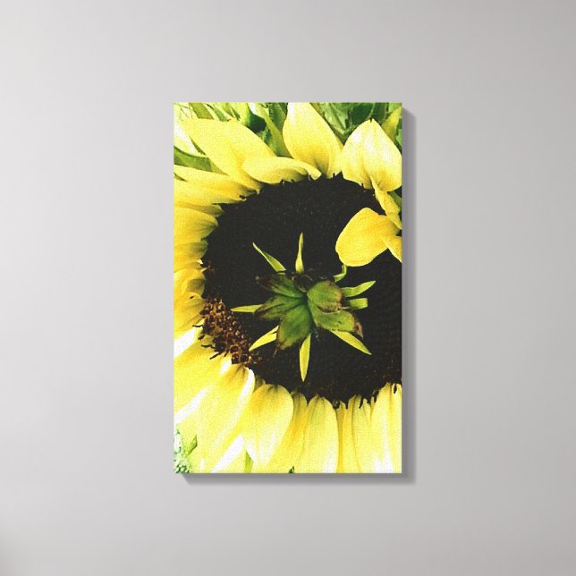 Sunflower Picture Canvas Print (Front)
