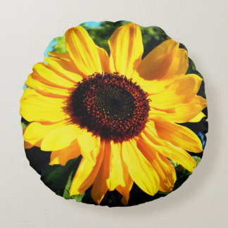 Sunflower Pillow