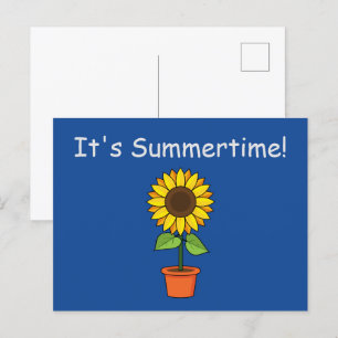 Sunflower Plant in a Pot Personalise Holiday Postcard