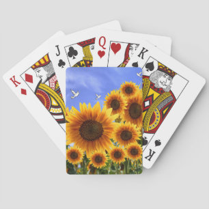 Sunflower Playing Card Deck