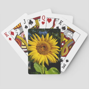 Sunflower Playing Cards