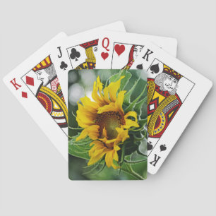 Sunflower Playing Cards