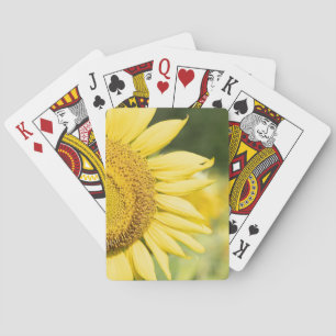 Sunflower Playing Cards