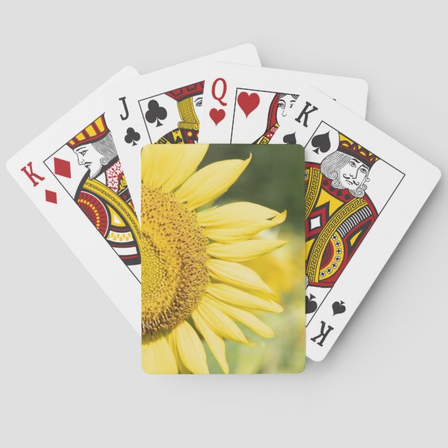 Sunflower Playing Cards (Back)