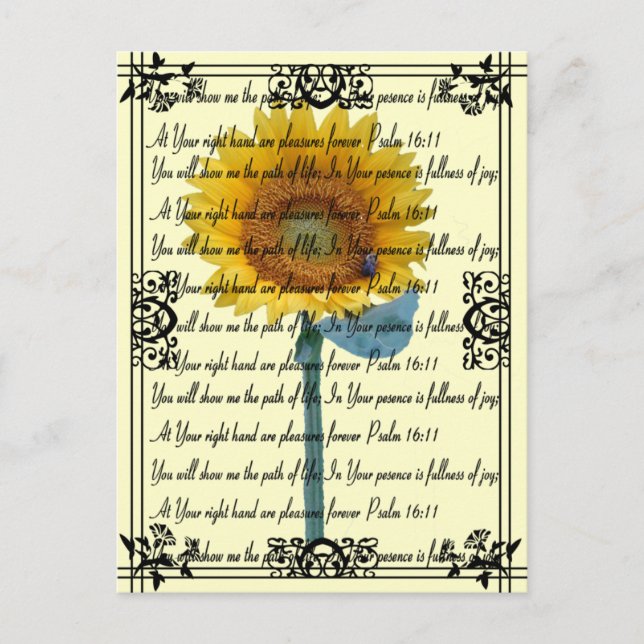 Sunflower Pleasures... Postcard (Front)