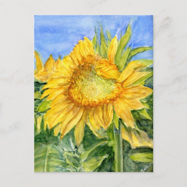 Sunflower Postcard (Front)