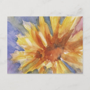 Sunflower Postcard