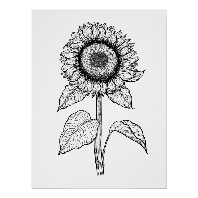 Sunflower Poster (Front)