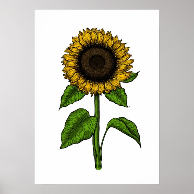 Sunflower Poster (Front)