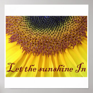 Sunflower Poster