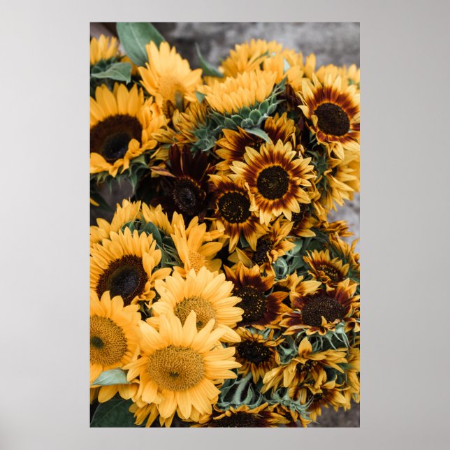 SUNFLOWER POSTER (Front)