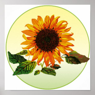 Sunflower Poster