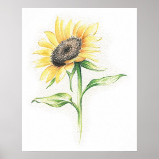 Sunflower Poster (Front)