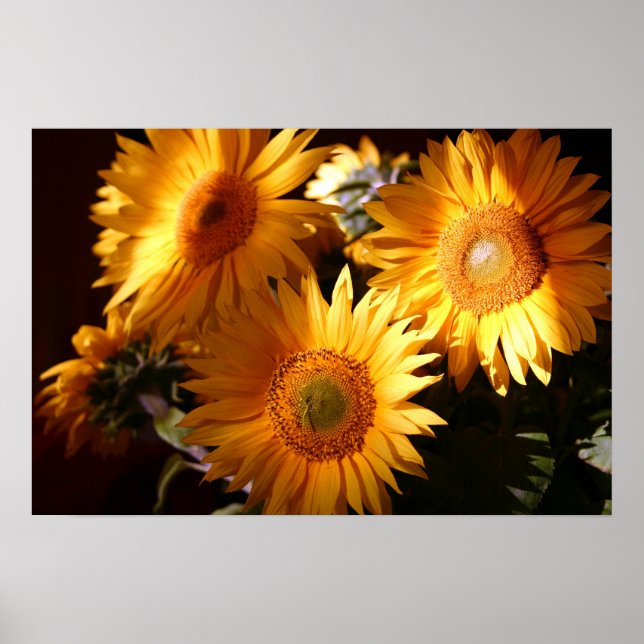 Sunflower Poster (Front)